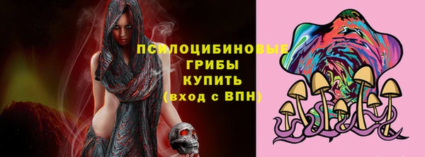 индика Балахна