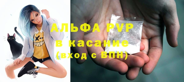 ГАЛЛЮЦИНОГЕННЫЕ ГРИБЫ Белокуриха