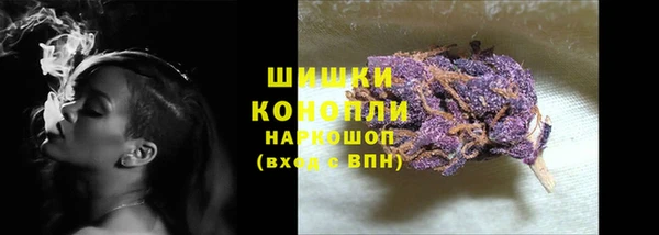 ГАЛЛЮЦИНОГЕННЫЕ ГРИБЫ Белокуриха
