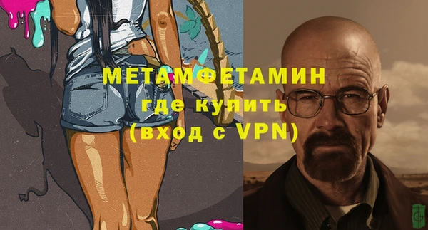 ПСИЛОЦИБИНОВЫЕ ГРИБЫ Богданович