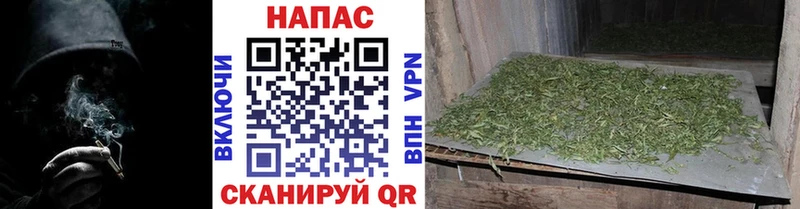 как найти наркотики  Баксан  Шишки марихуана конопля 